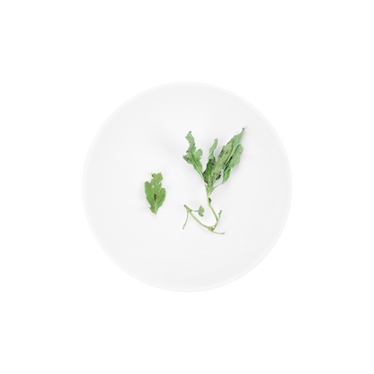 Balinese Herbaceous Mint
