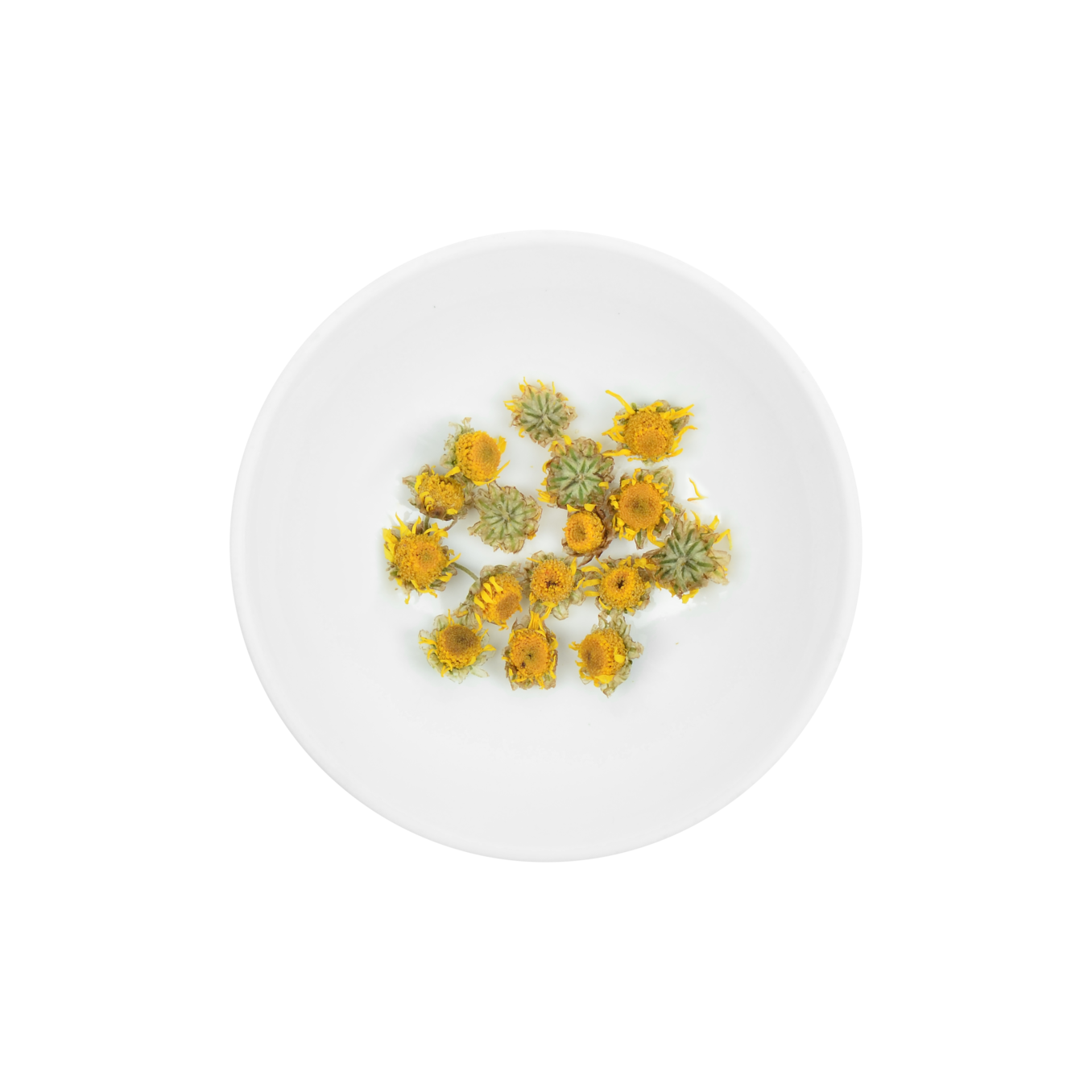 Mini Chrysanthemum